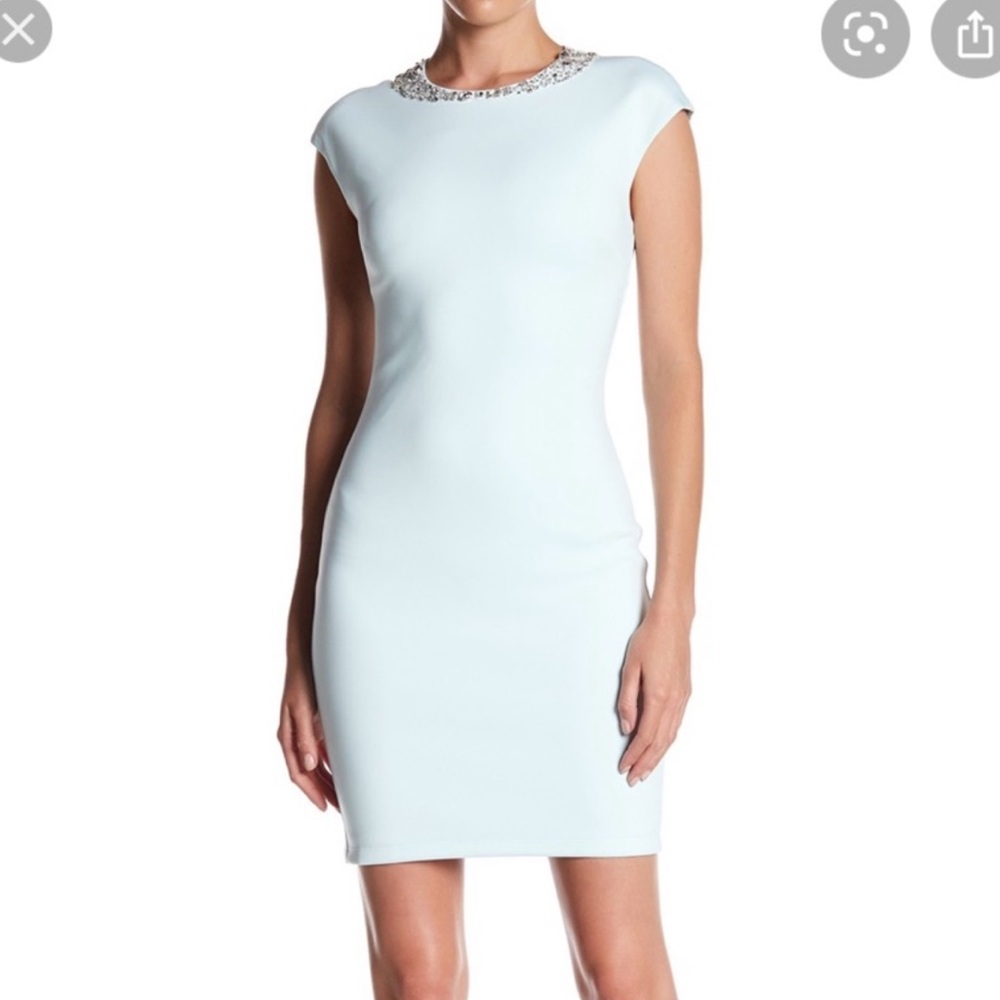 Ted Baker Light Green Mini Dress with Embellished Collar